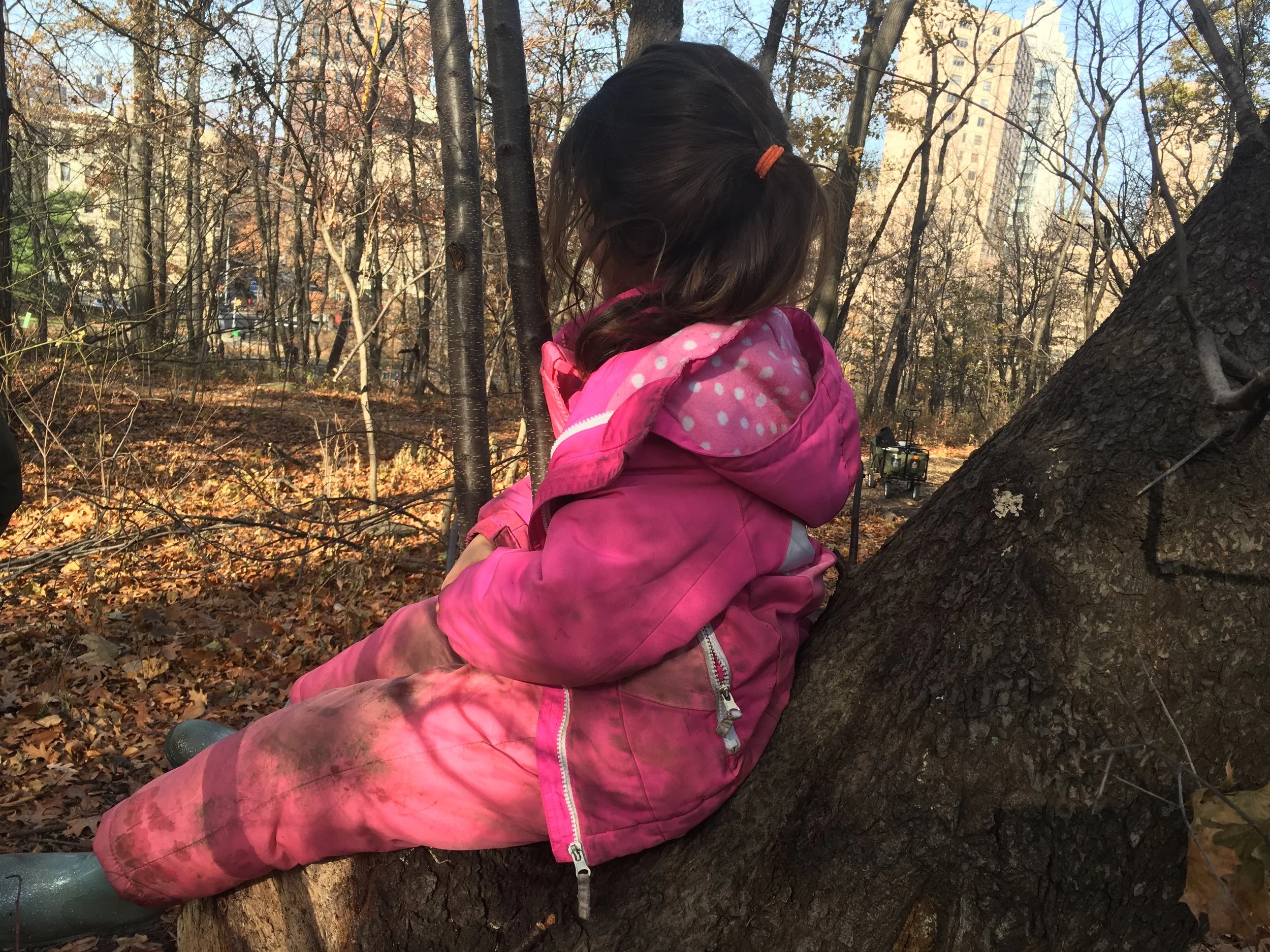 The antidote for autumn anxiety