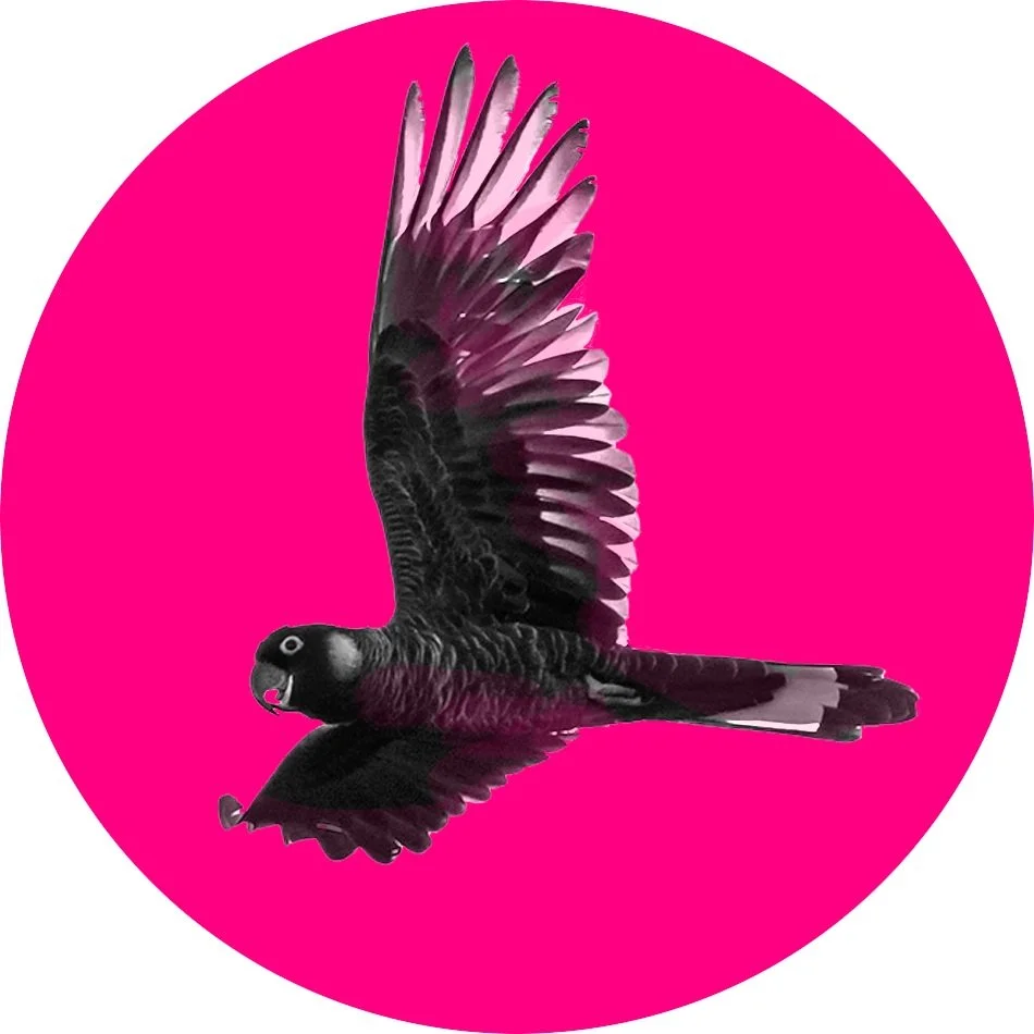 COCKY+LOGO+2.jpg