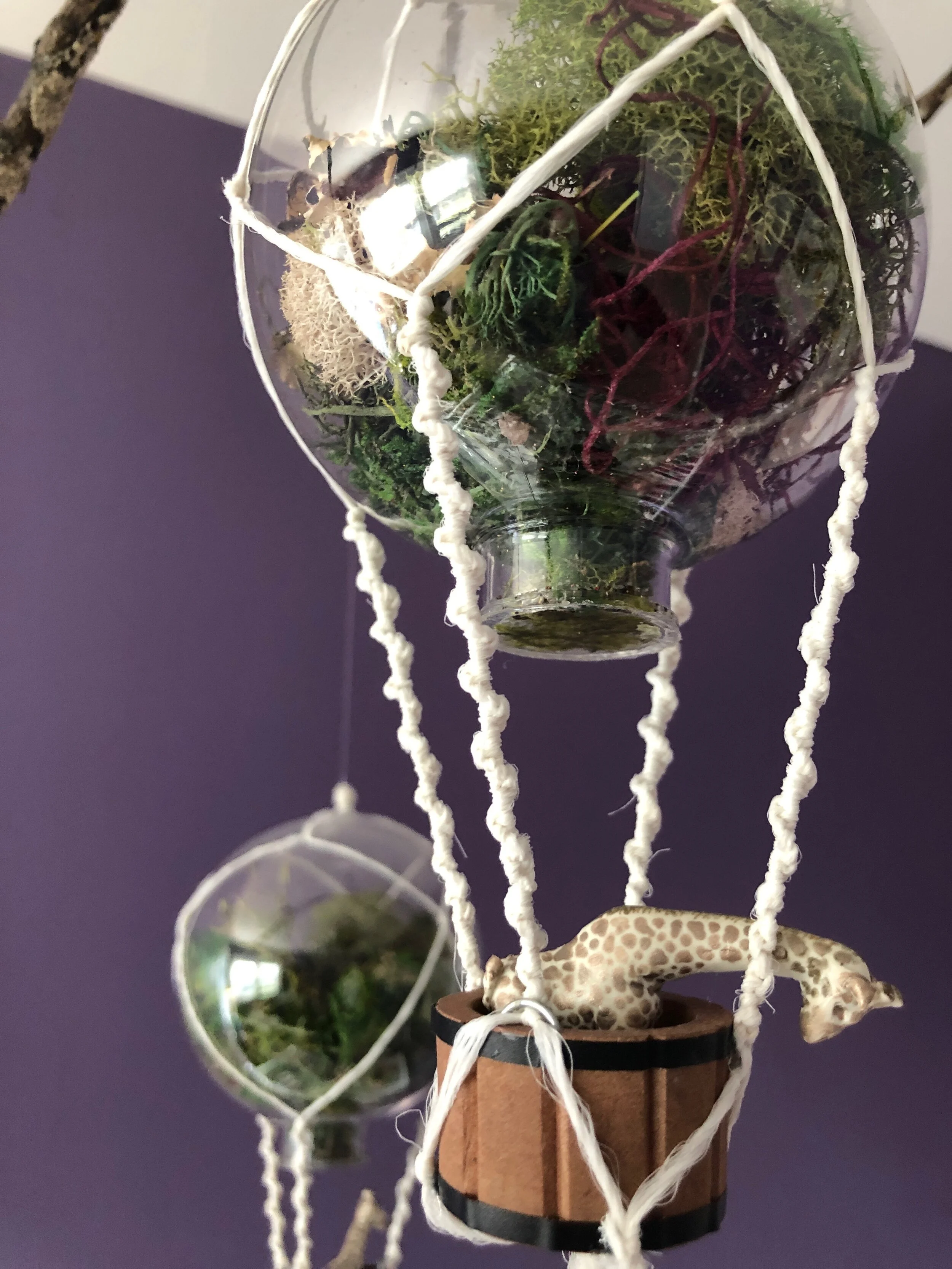 Dreams for Fi - detail