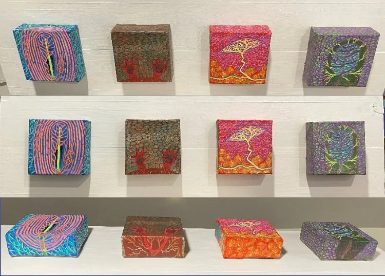 Somatosensory Organs