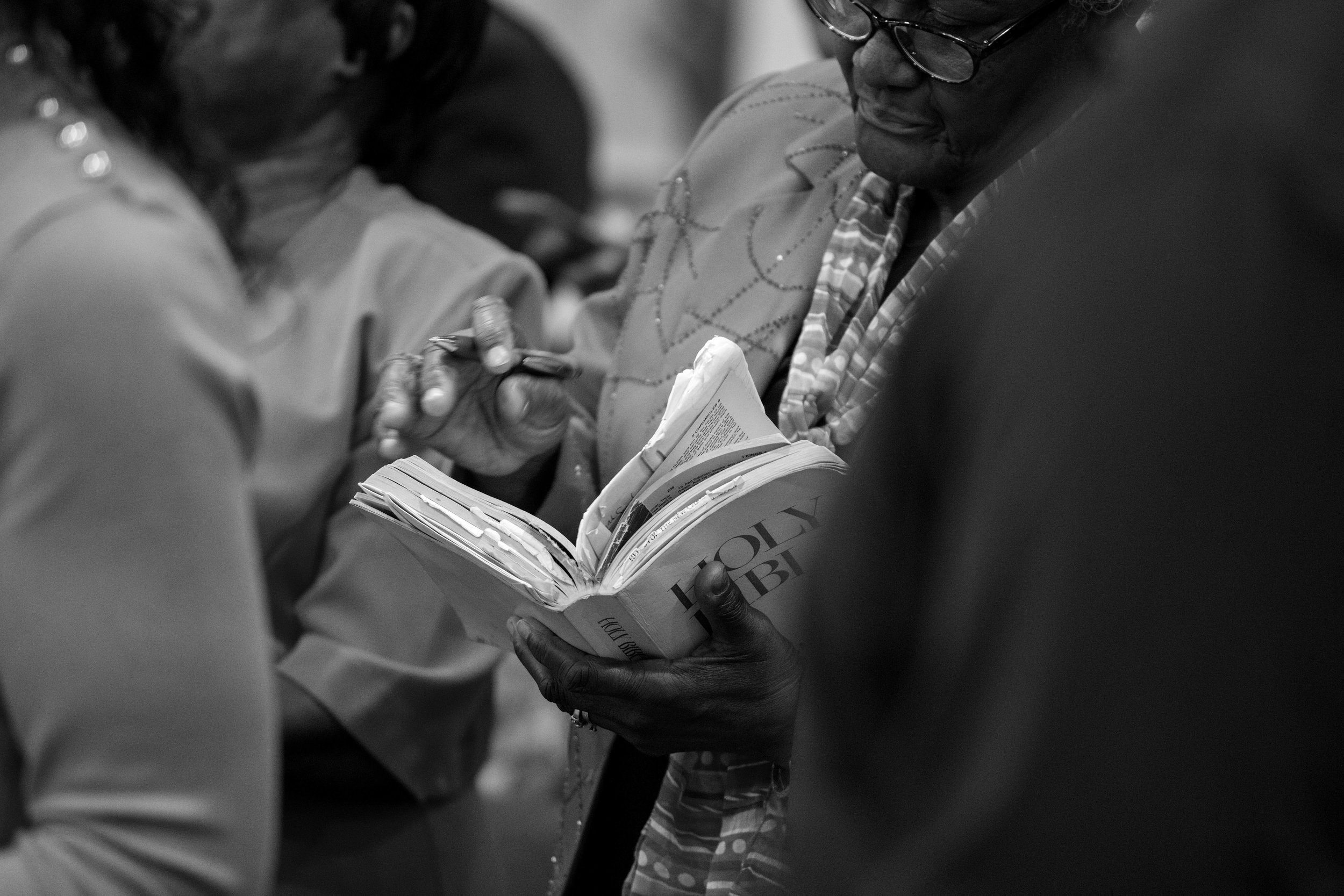 IMG_8880-2.jpg