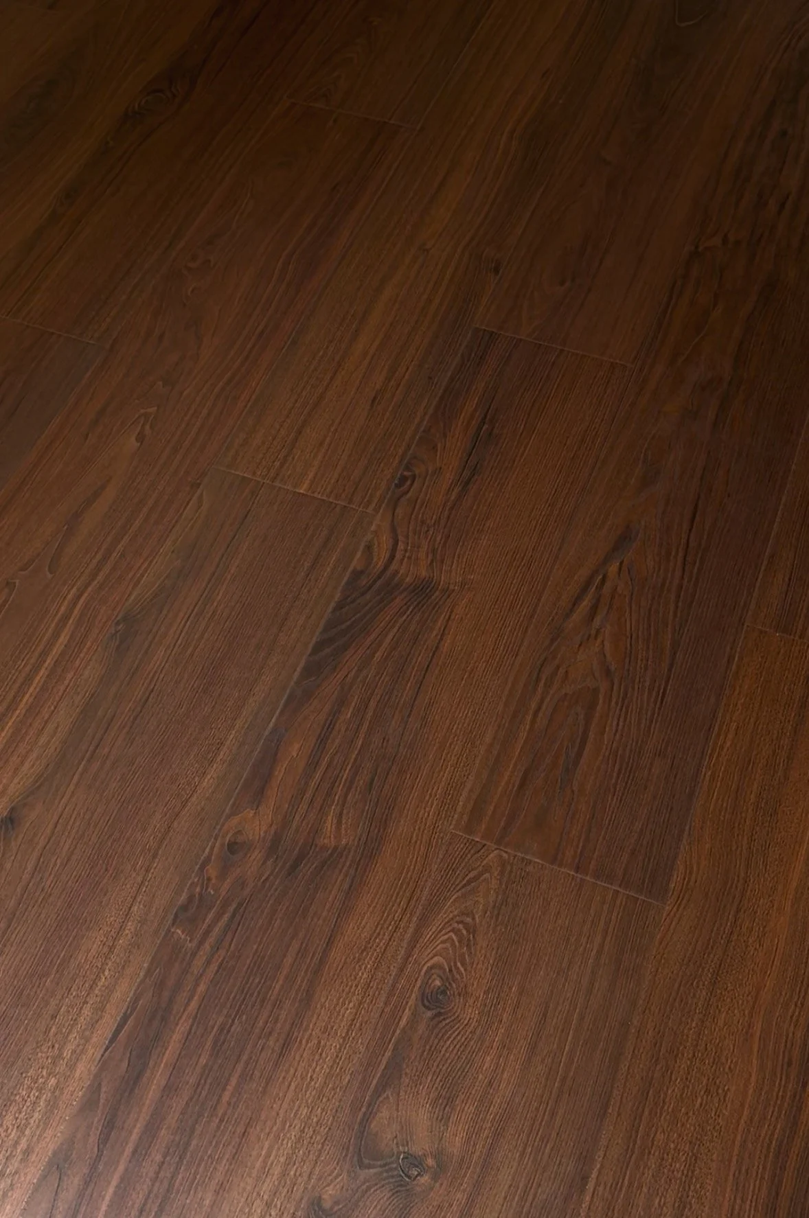 Photo4.jpg