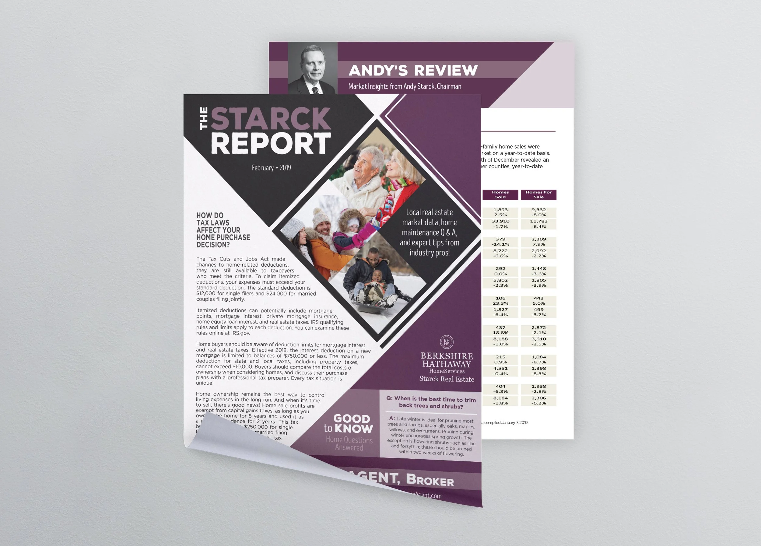 RealEstate-StarckReport-Newsletter.jpg
