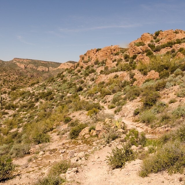 Pedro-on-the-hiking-trail-in-Superstition-Mountain-Wilderness.JPG