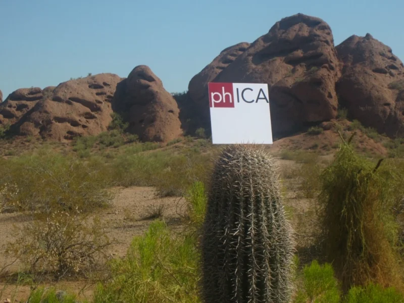 Phica_Cactus_Background_IMG_0605-1024x768.JPG