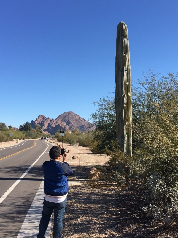  Daniel photographing a cell phone tower fabricated to resemble a saguaro cactus. 12-18-15 