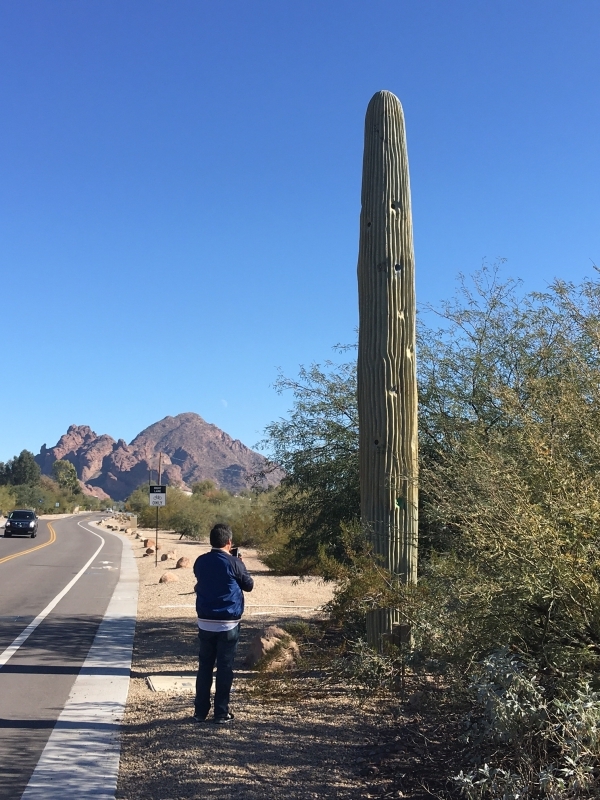  Daniel photographing a cell phone tower fabricated to resemble a saguaro cactus. 12-18-15 