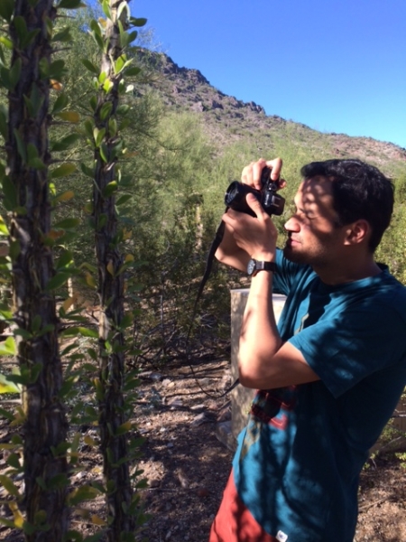  Wanderson photographing in the desert with an ocotillo cactus in the foreground  10-17-14 