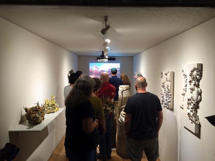 Visitors-fascinated-with-the-Collapse-exhibition-11-6-15.JPG