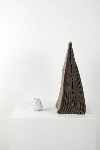 Gabriela-Salazar_work.jpg