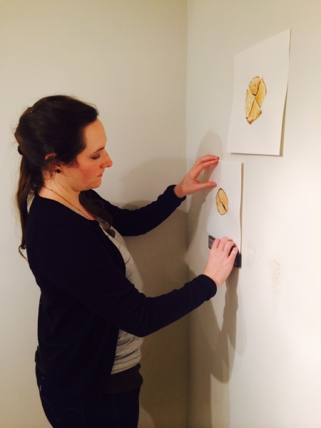  Photo Credit: Ted Decker installing, 1-15-15 