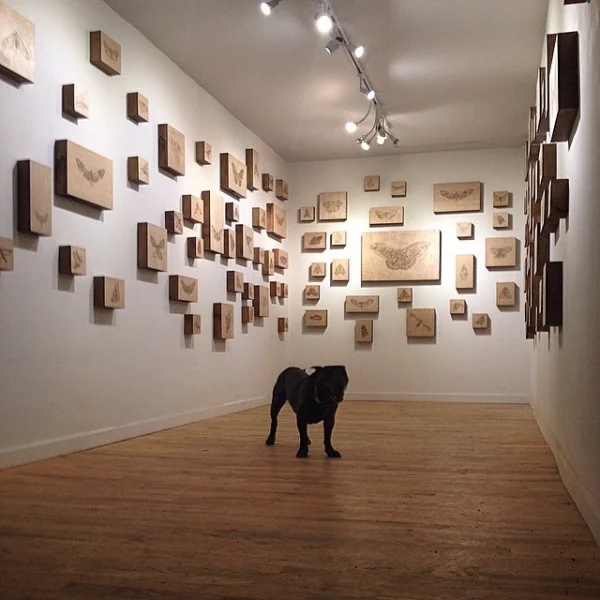  May First Friday visitor to Lexie's show, 5-1-15 