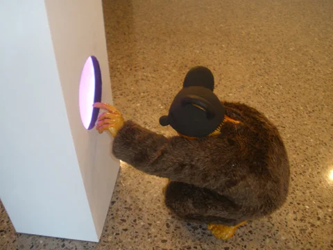 contactImg.jpg