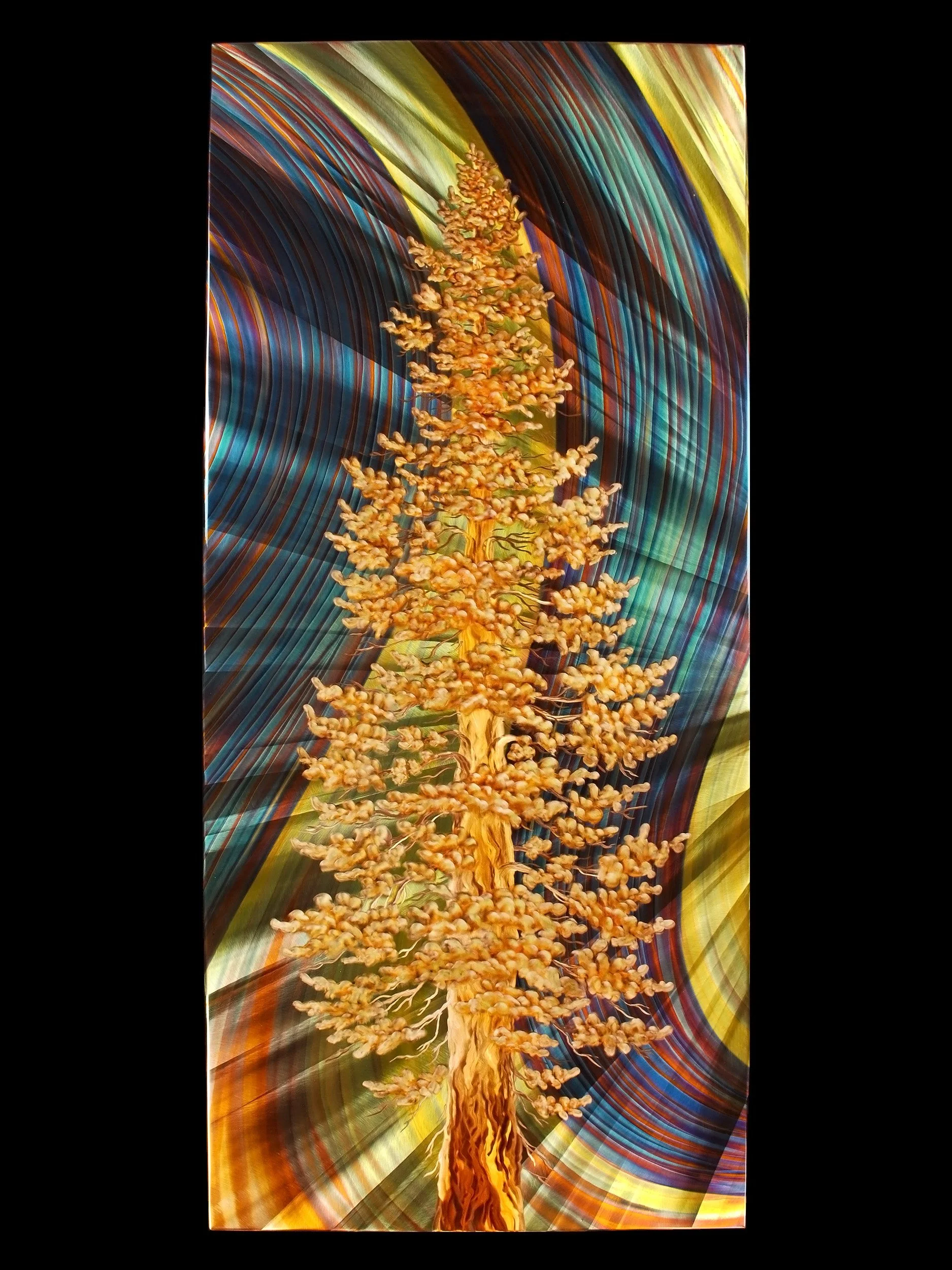 Windswept White Pine Portrait