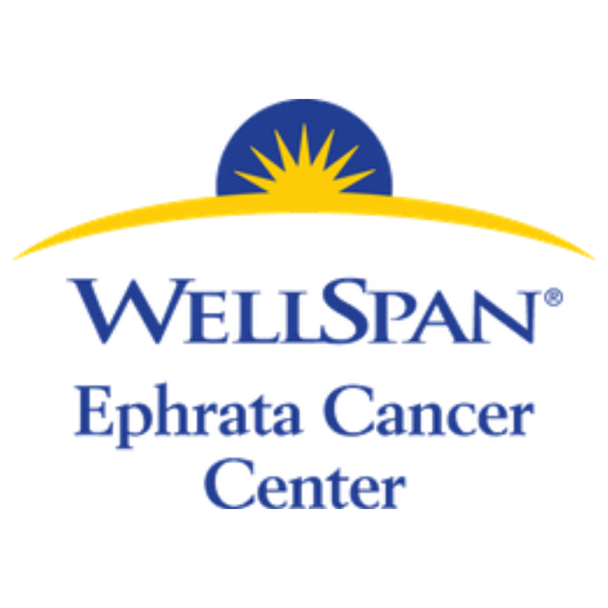 Wellspan logo