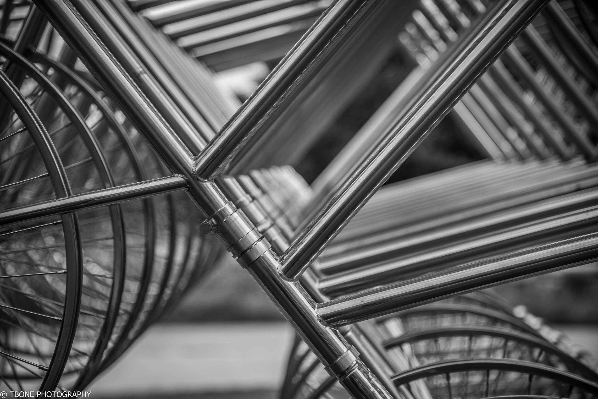 Forever Bicycles, Ai WeiWei