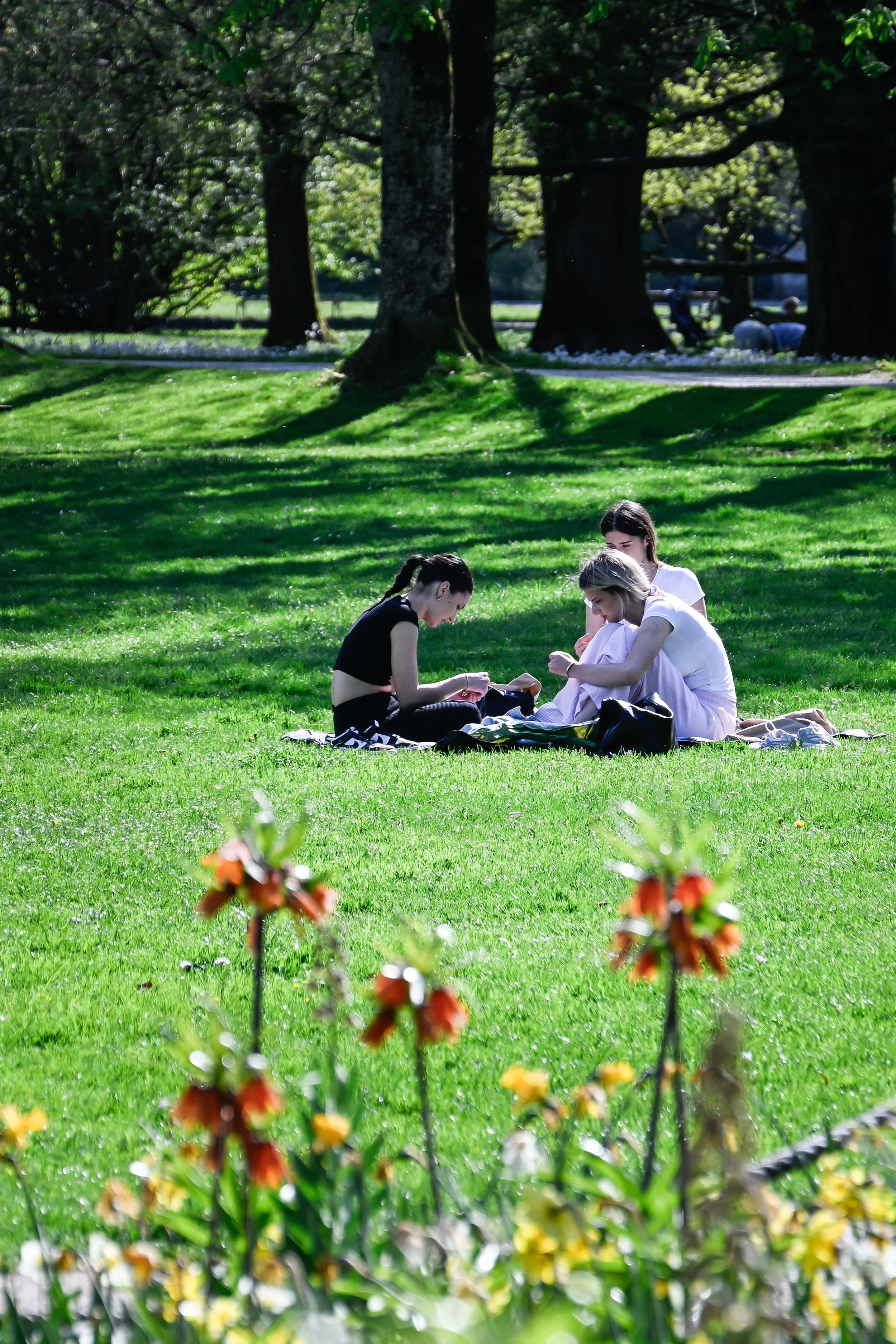 Salzburg-6.jpg