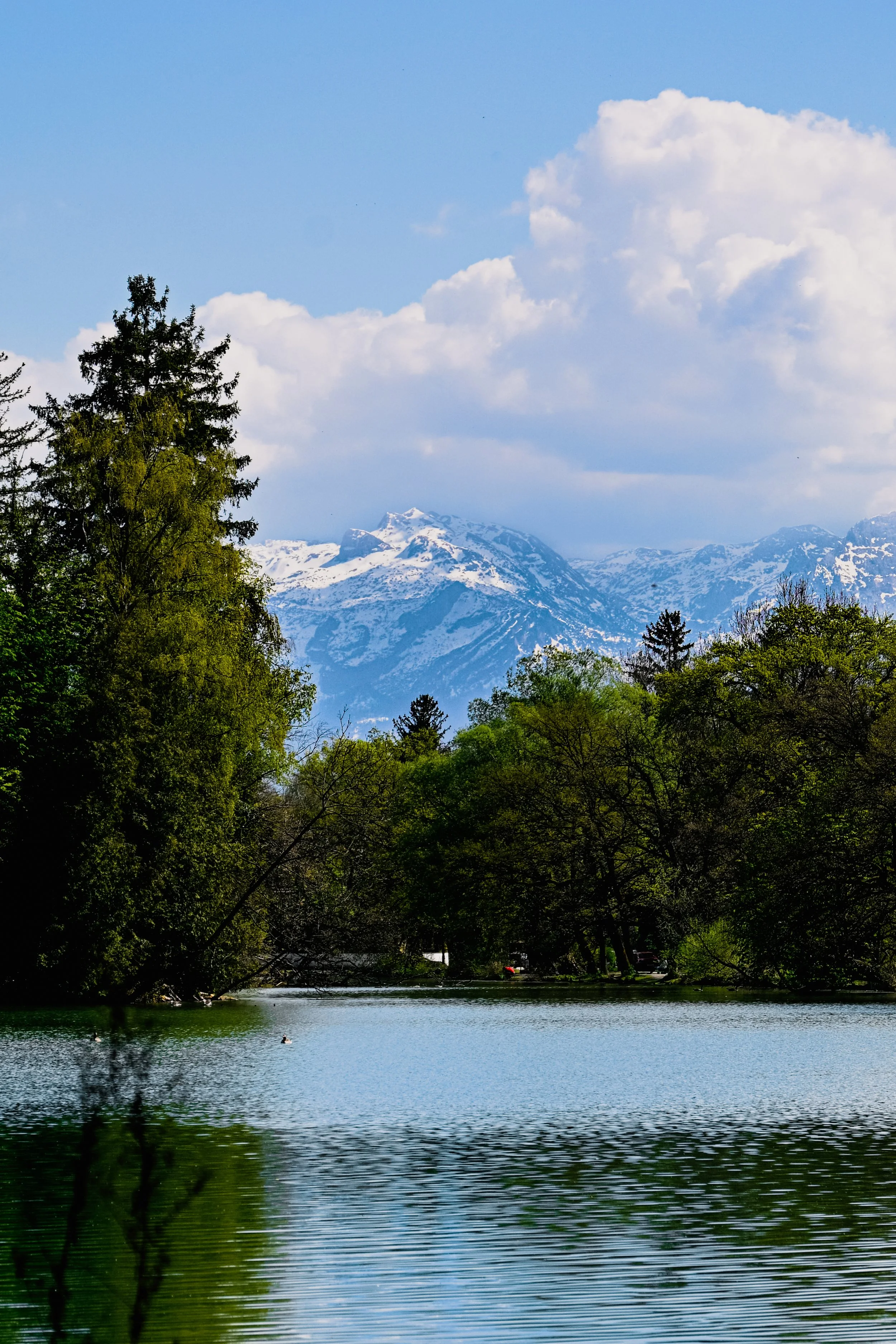 Salzburg-11.jpg