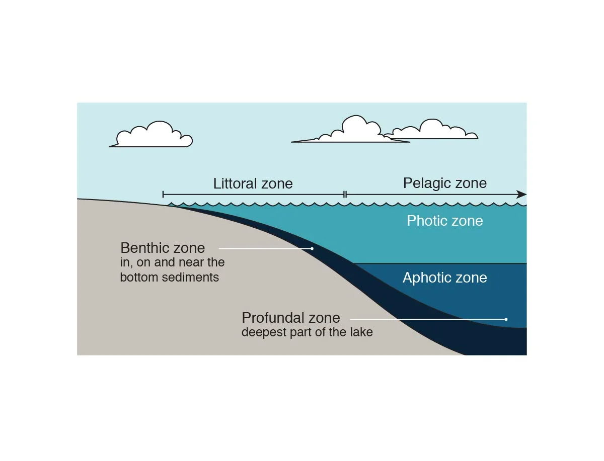 The ecological zones of lakes - LAKES A Very Short Introduction
