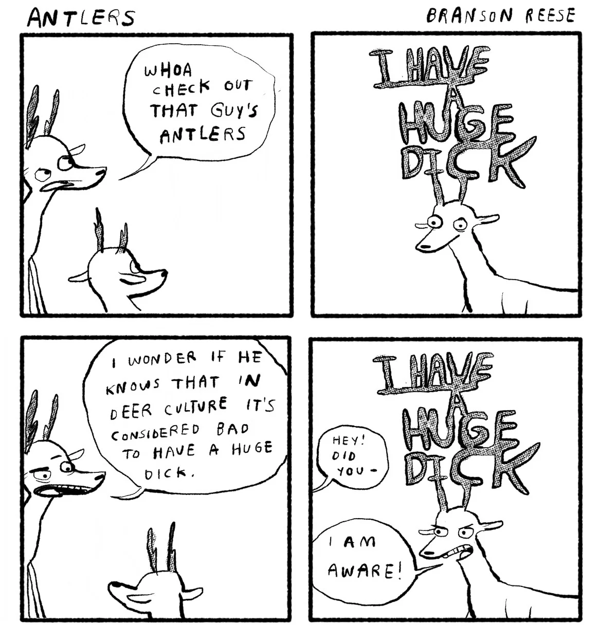 antlers2.jpg