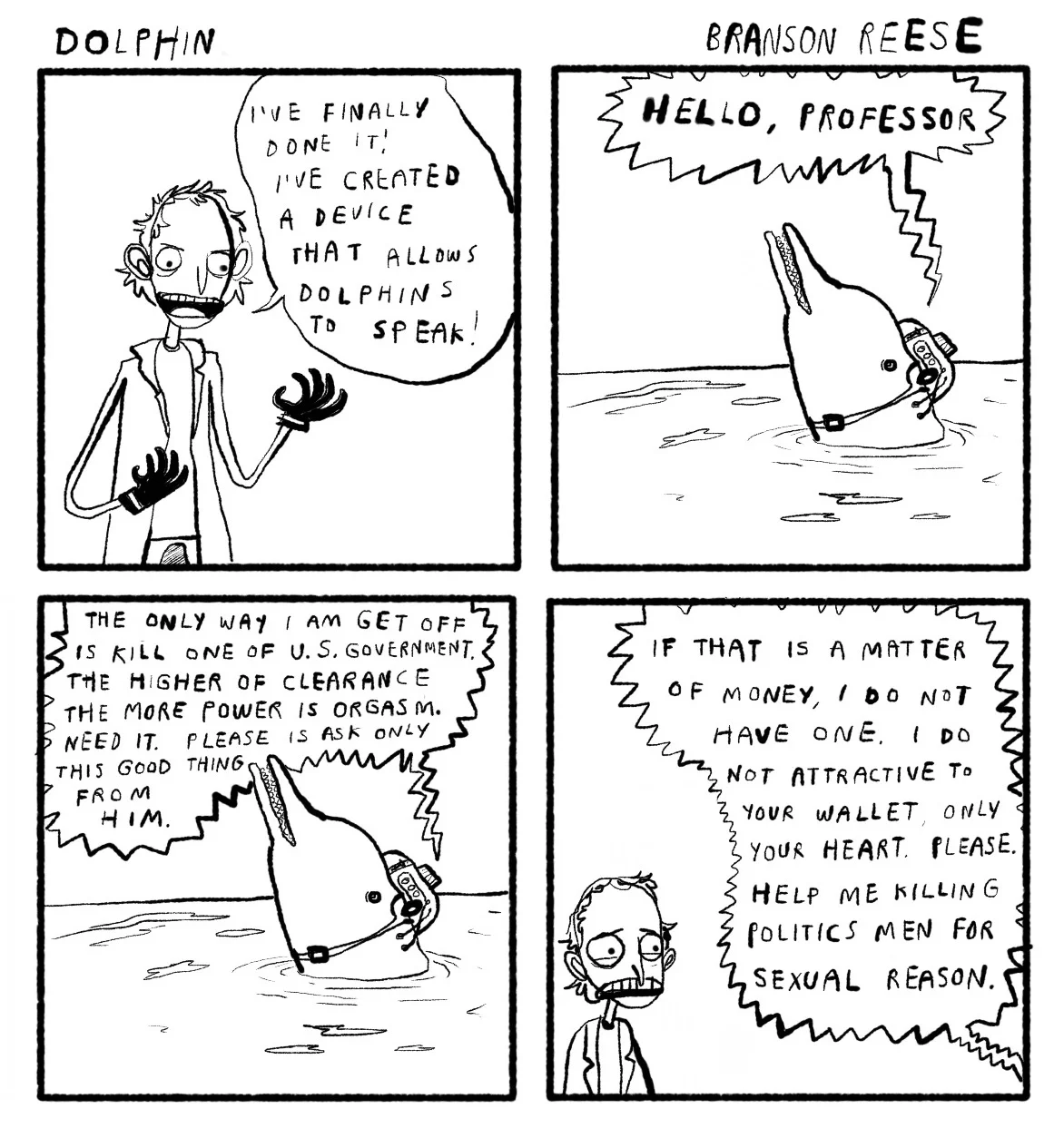 dolphins2.jpg