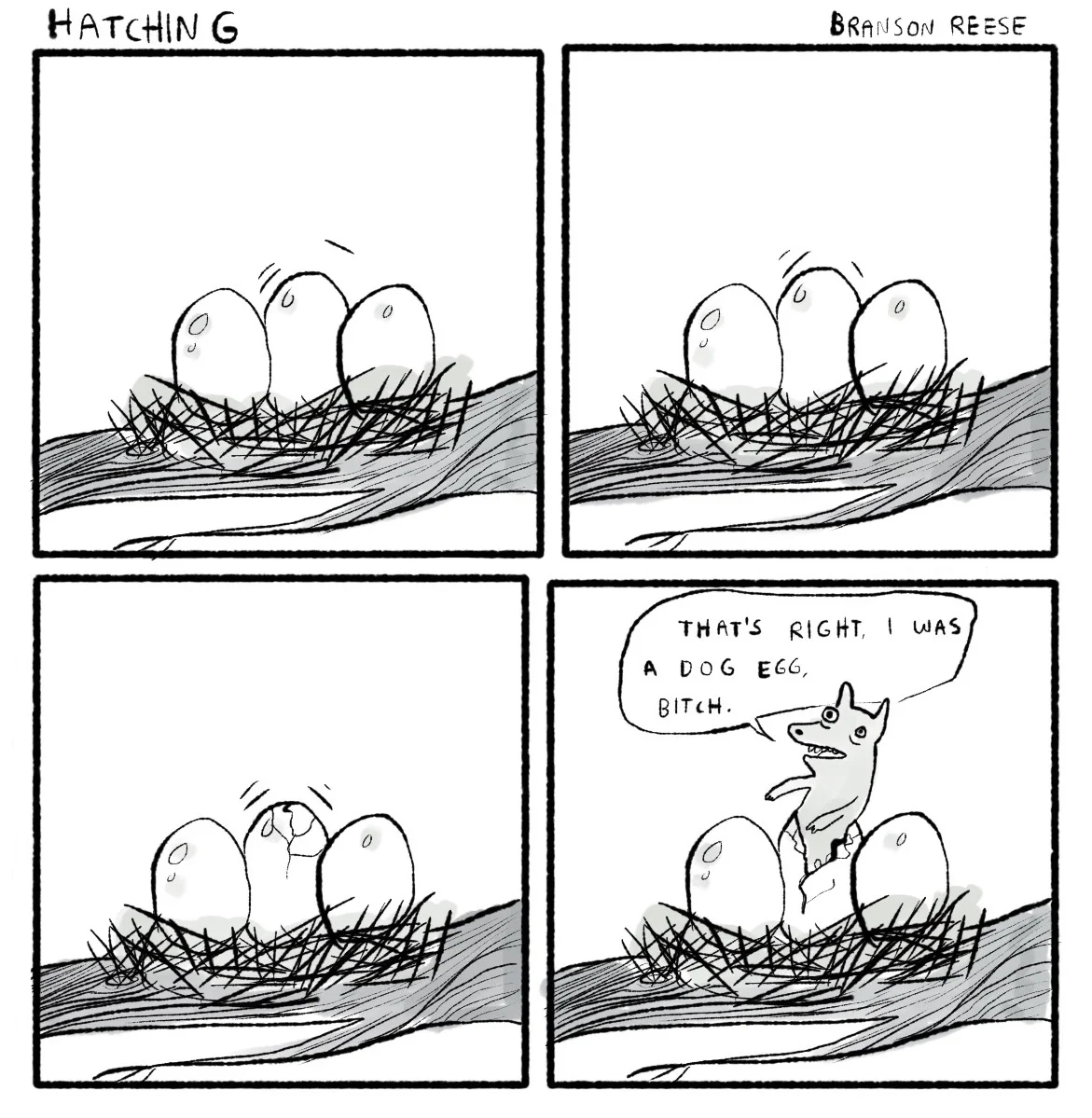 hatching2.jpg