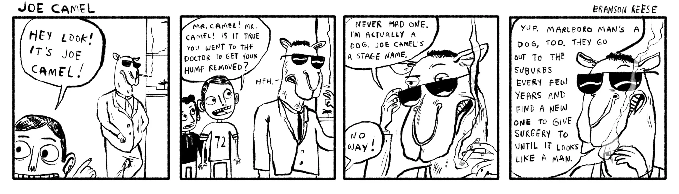 joecamel1.jpg