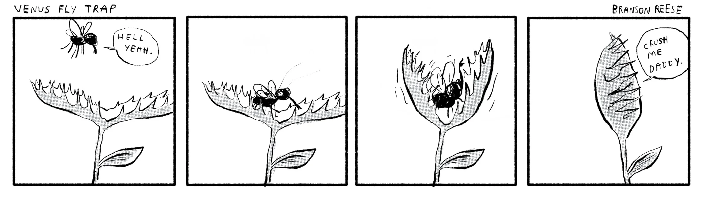 venusflytrap1.jpg