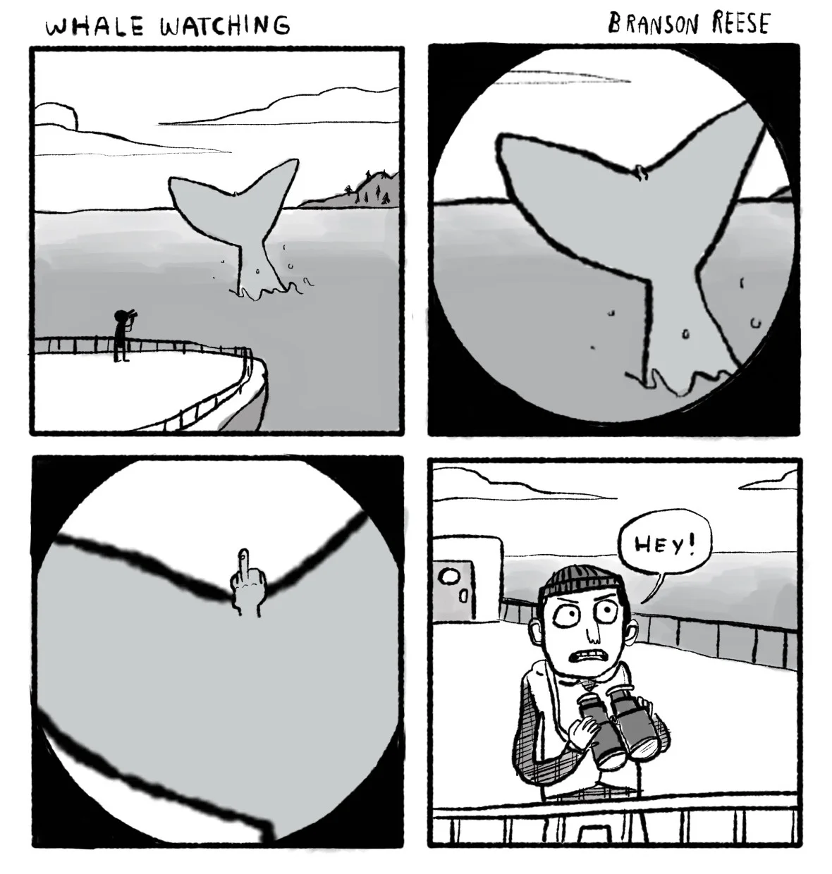 Whale Watching