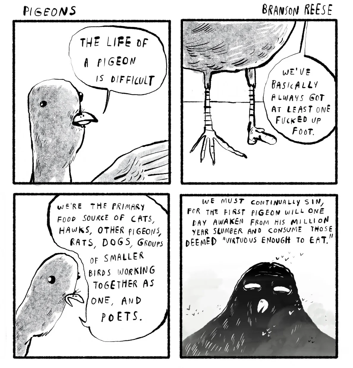 Pigeons