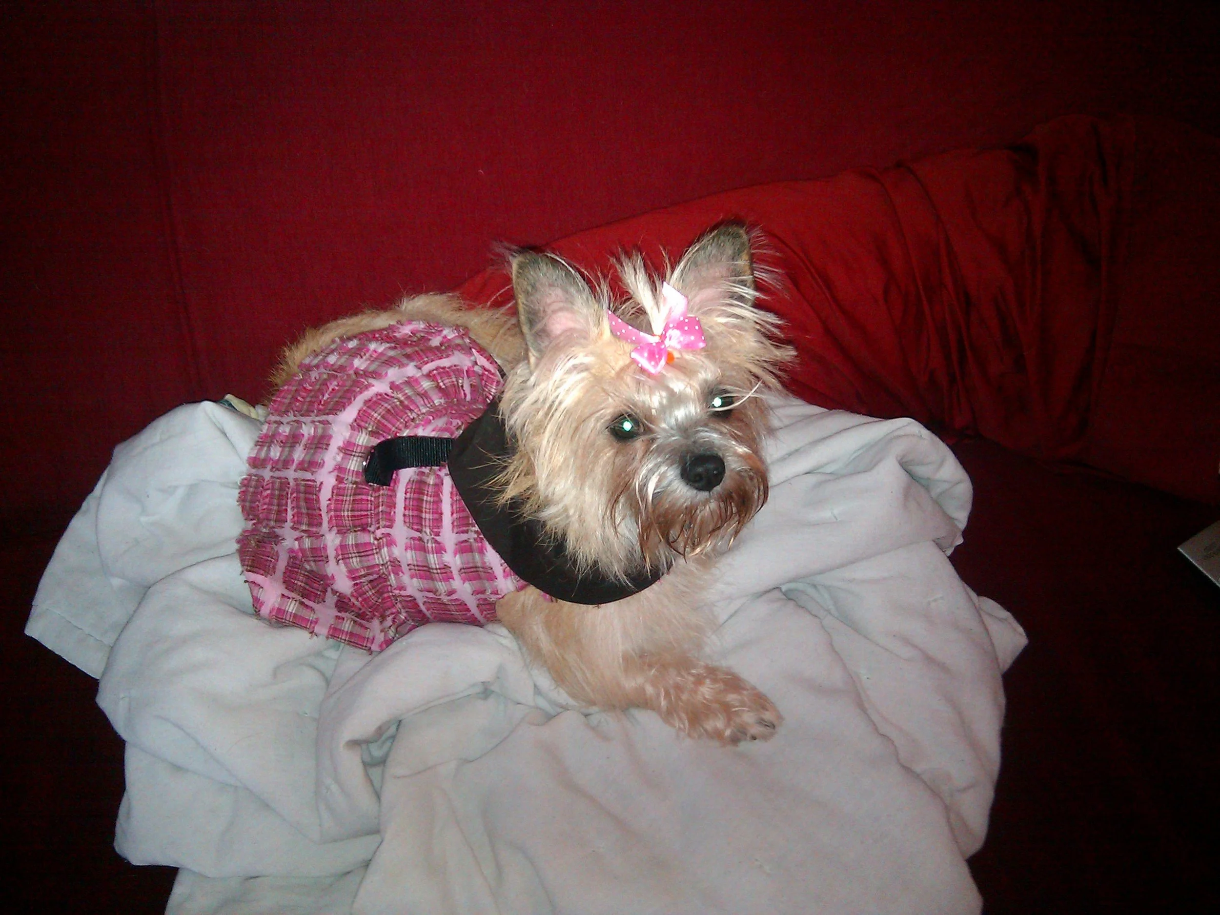 2010-03-24 16.44.44.jpg