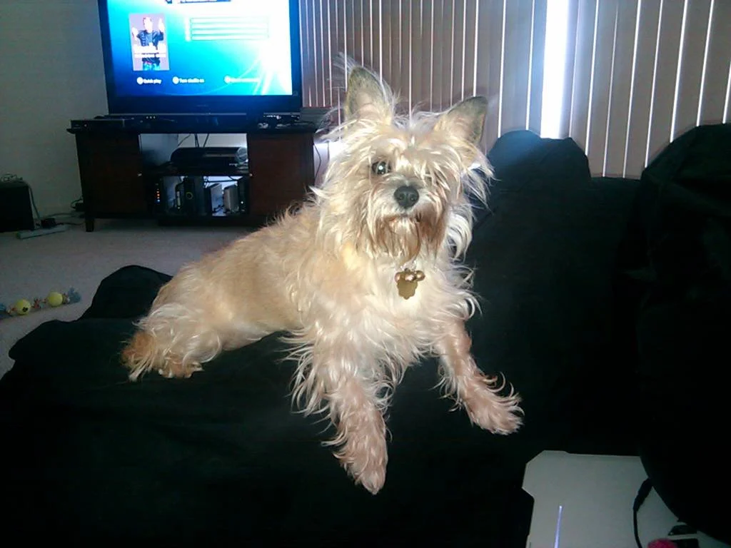 2010-04-18 15.16.53.jpg