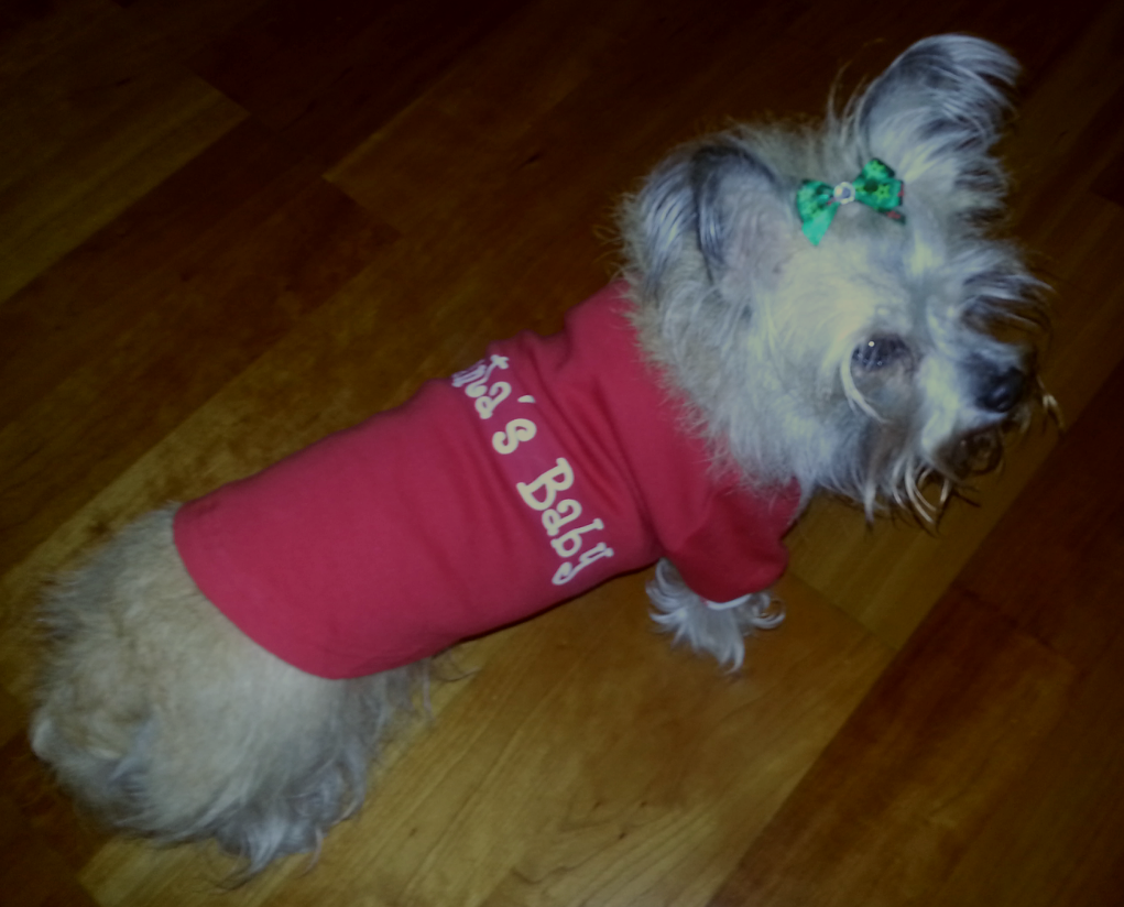 2013-12-25 13.48.05.png