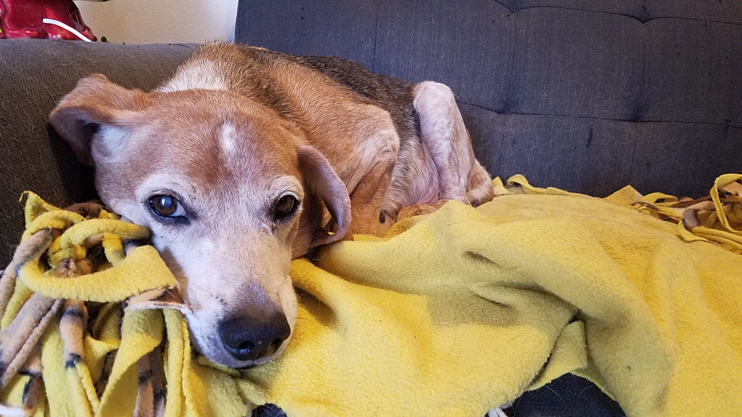 His usual position.