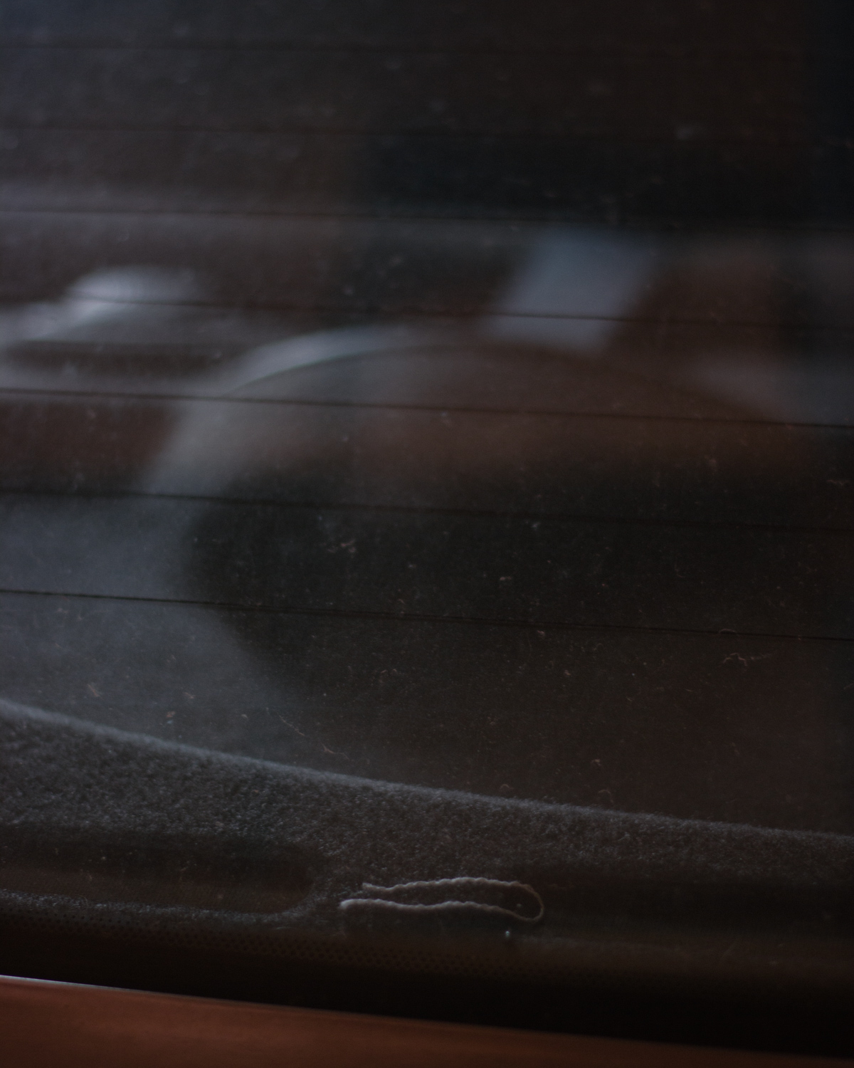 Through the back window