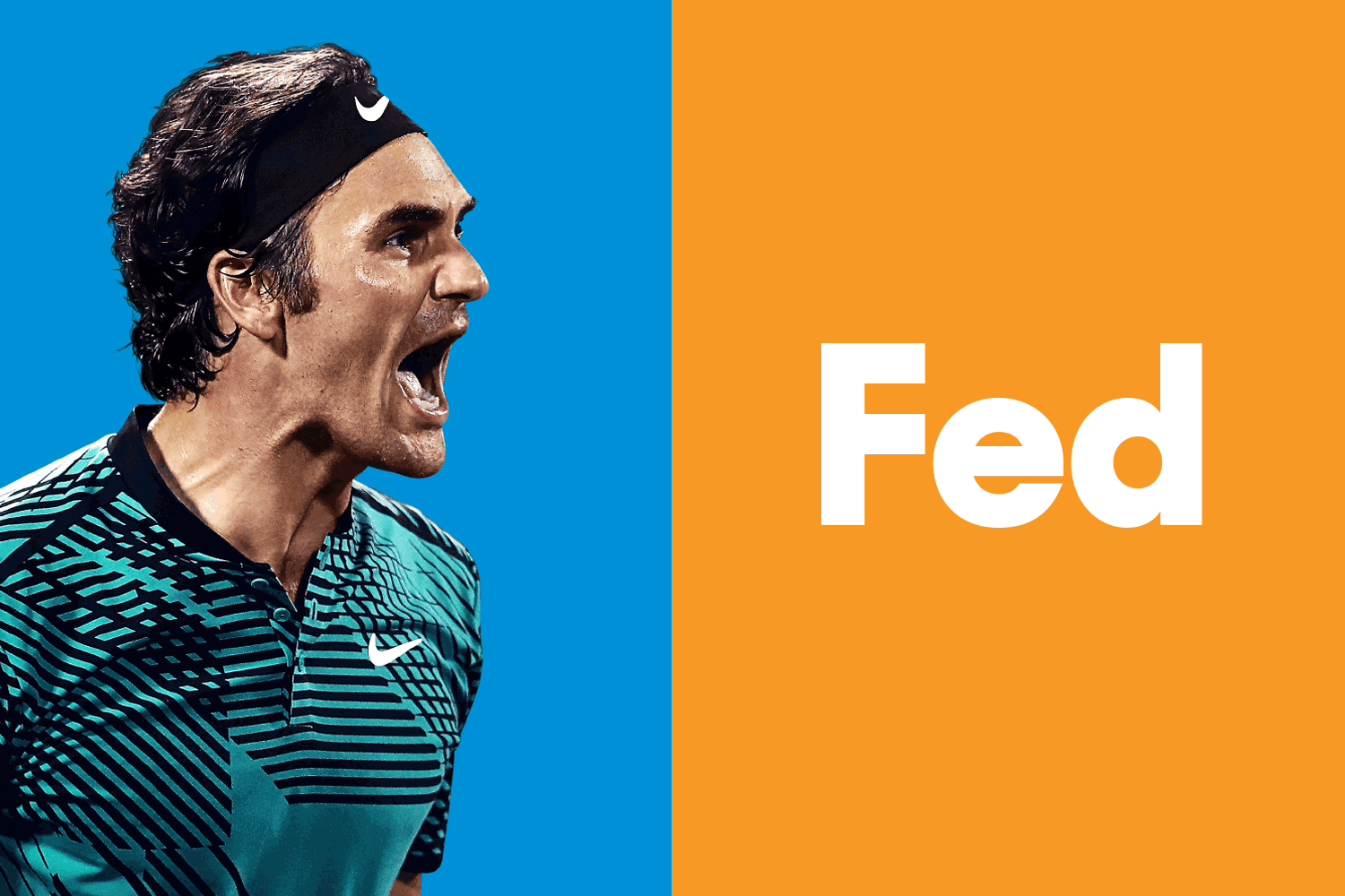 AO-Gif-Fed.gif