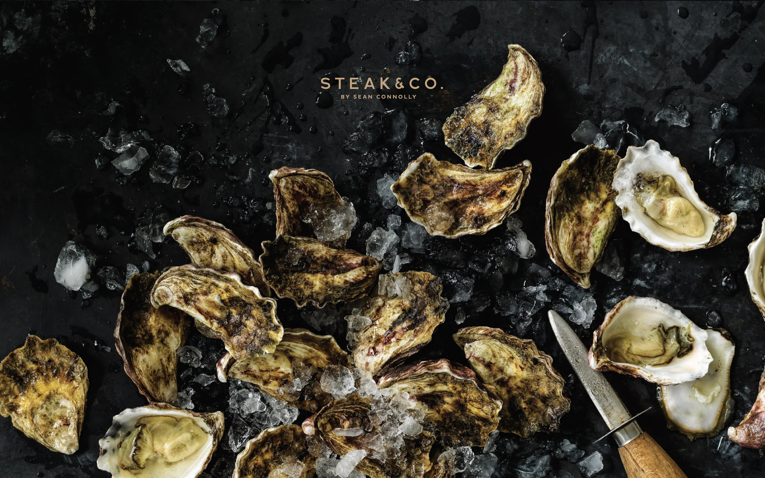 S&Co_Oysters.jpg