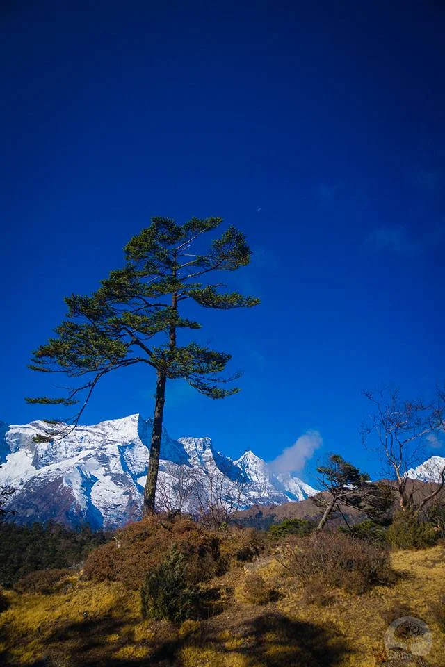 Solitary. Photo by Giang Hoang.