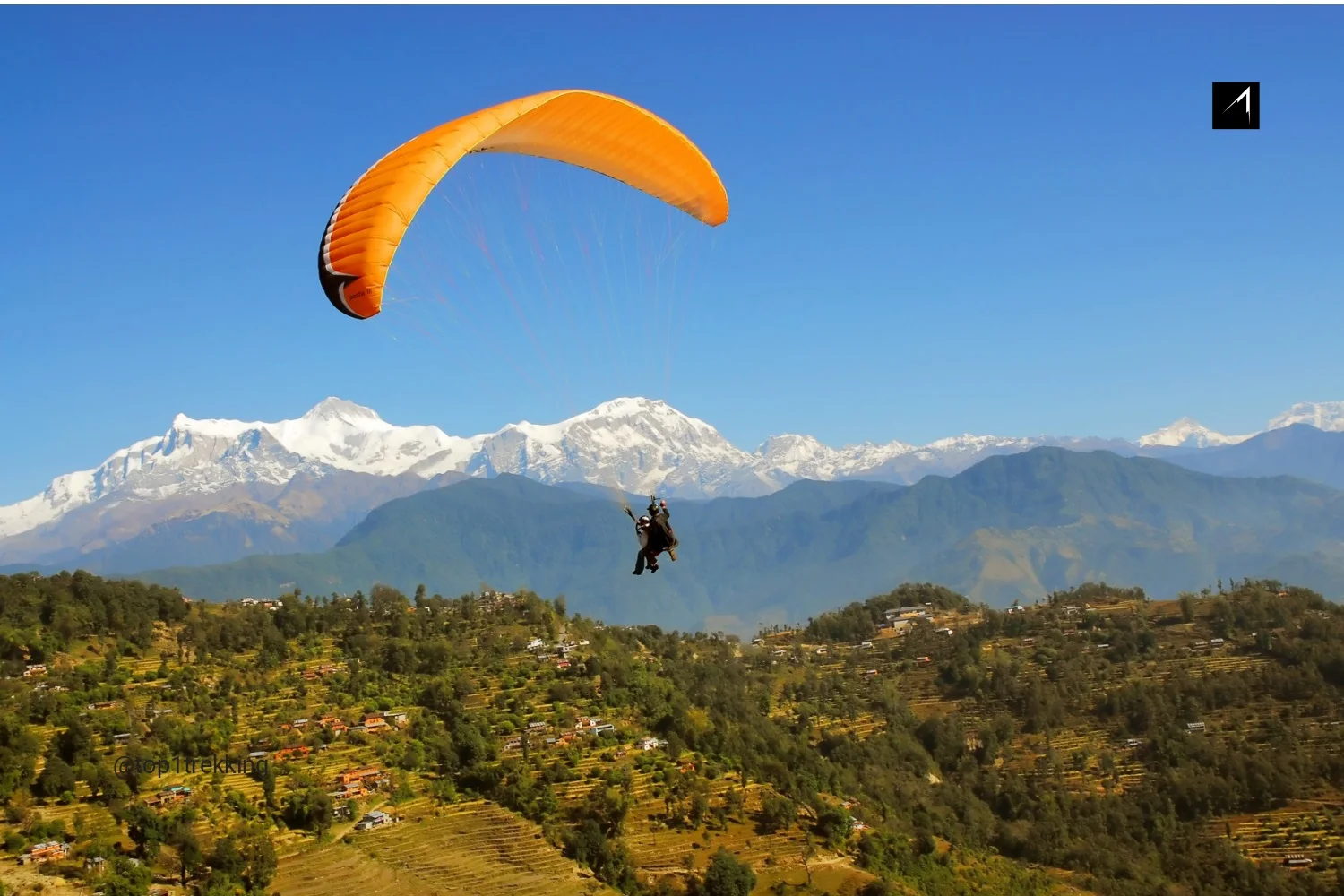 Paragliding above Phewa Lake: Flying High with hawks