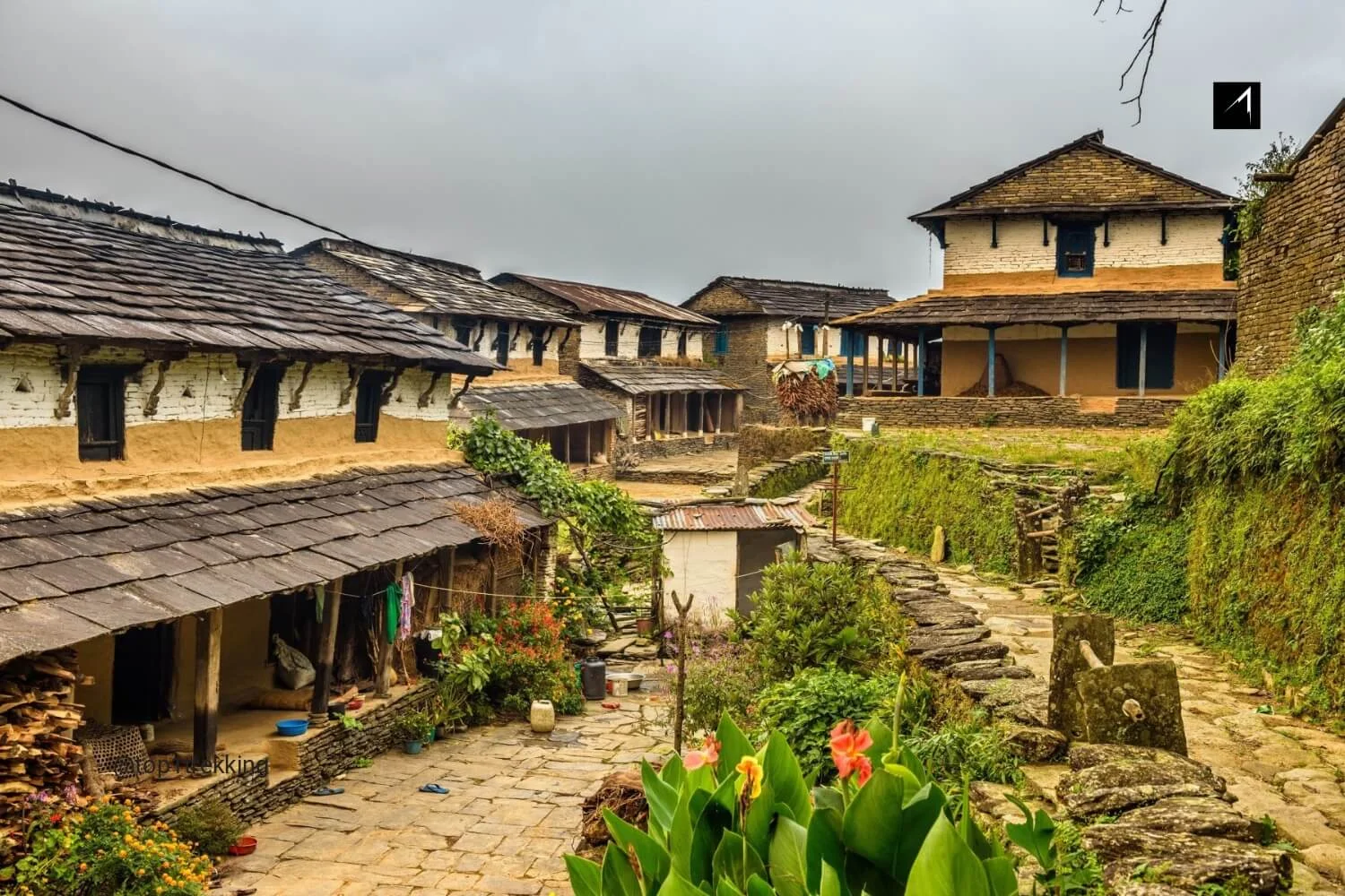 Dhampus village