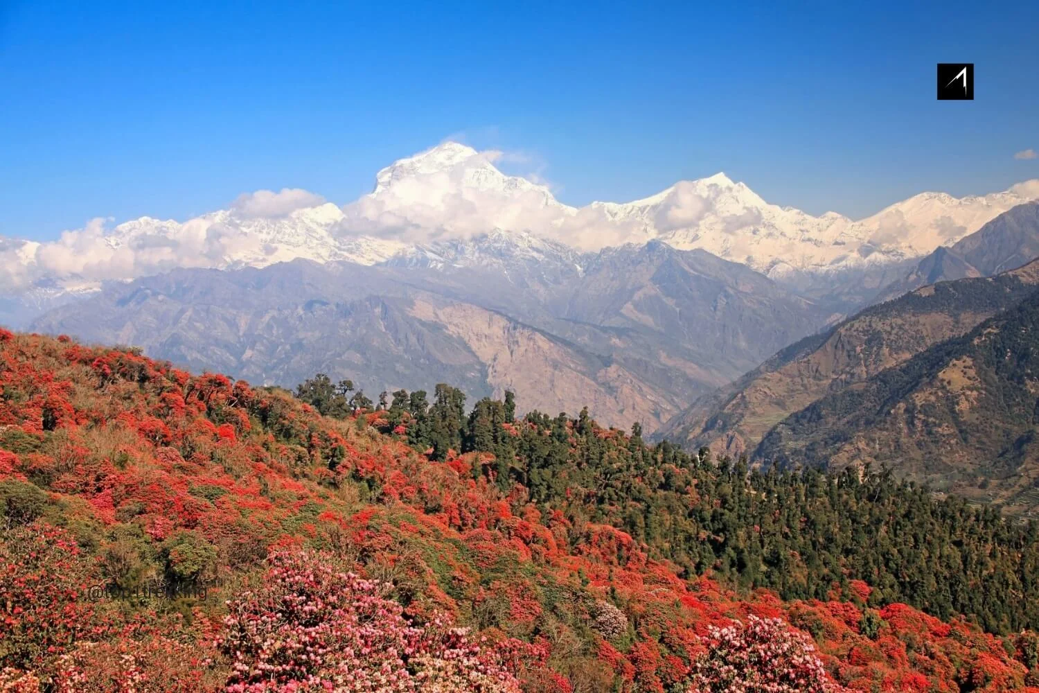 Ghorepani Poon Hill Trek: Witnessing the spectacular sunrise