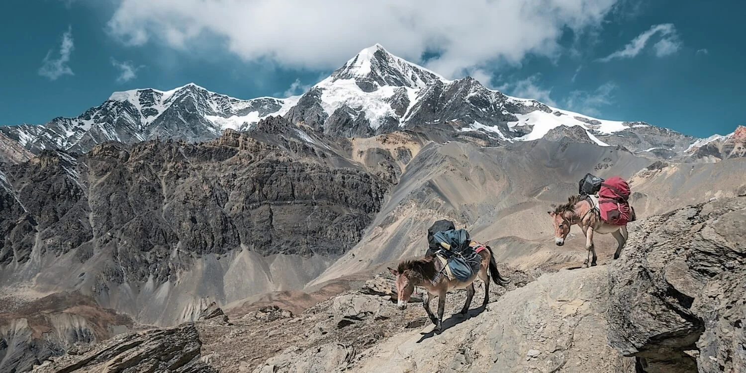 How does trekking in Nepal? - FAQs