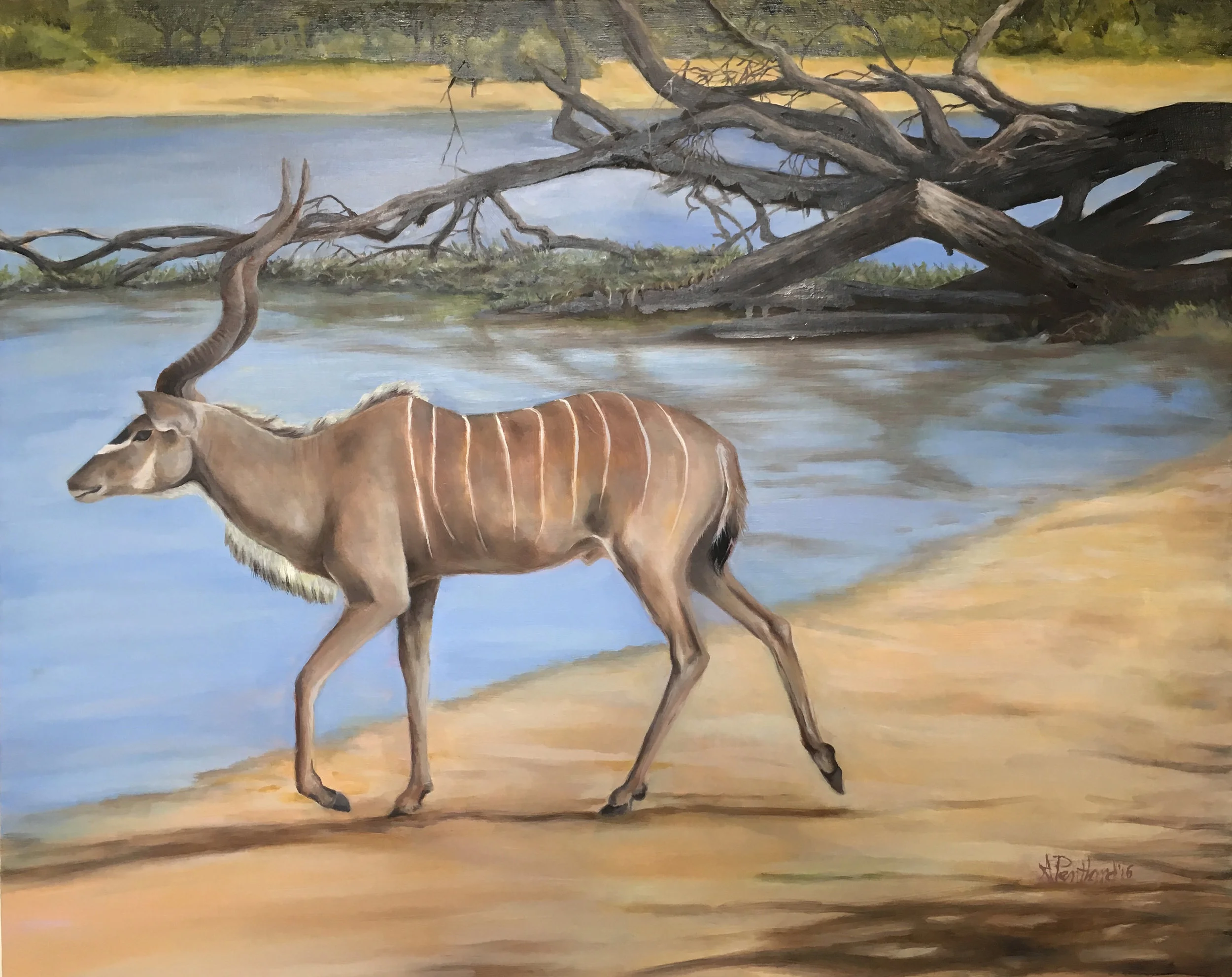 Kudu