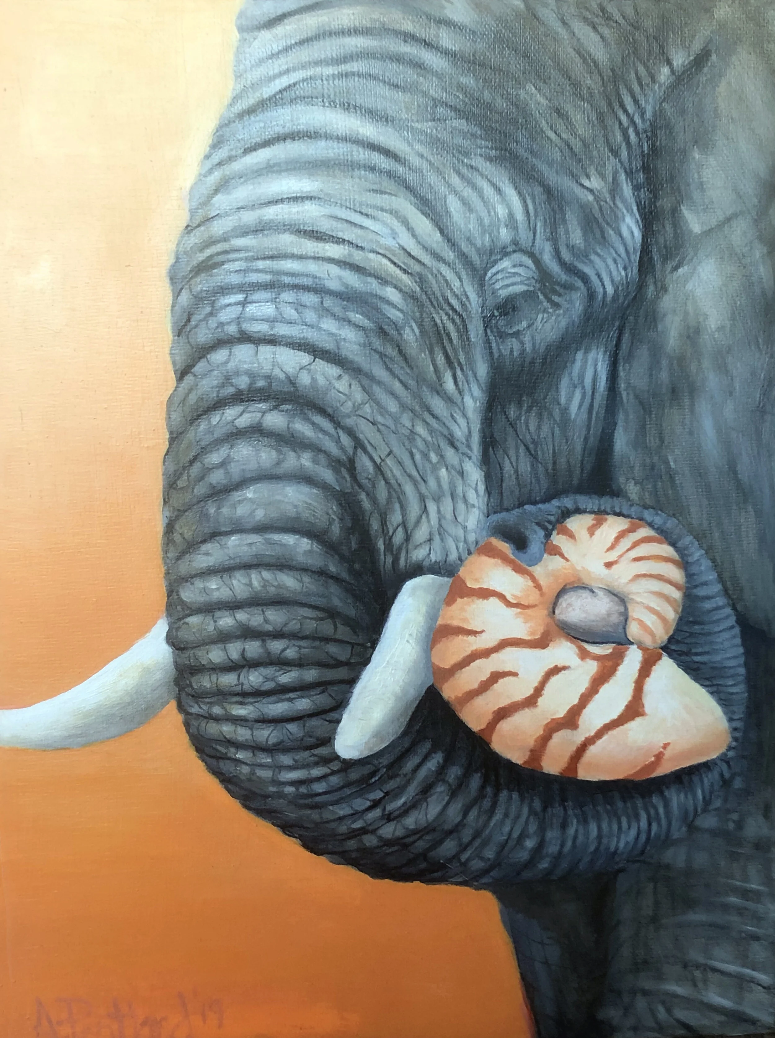 "Elephant and Nautilus (Study)"