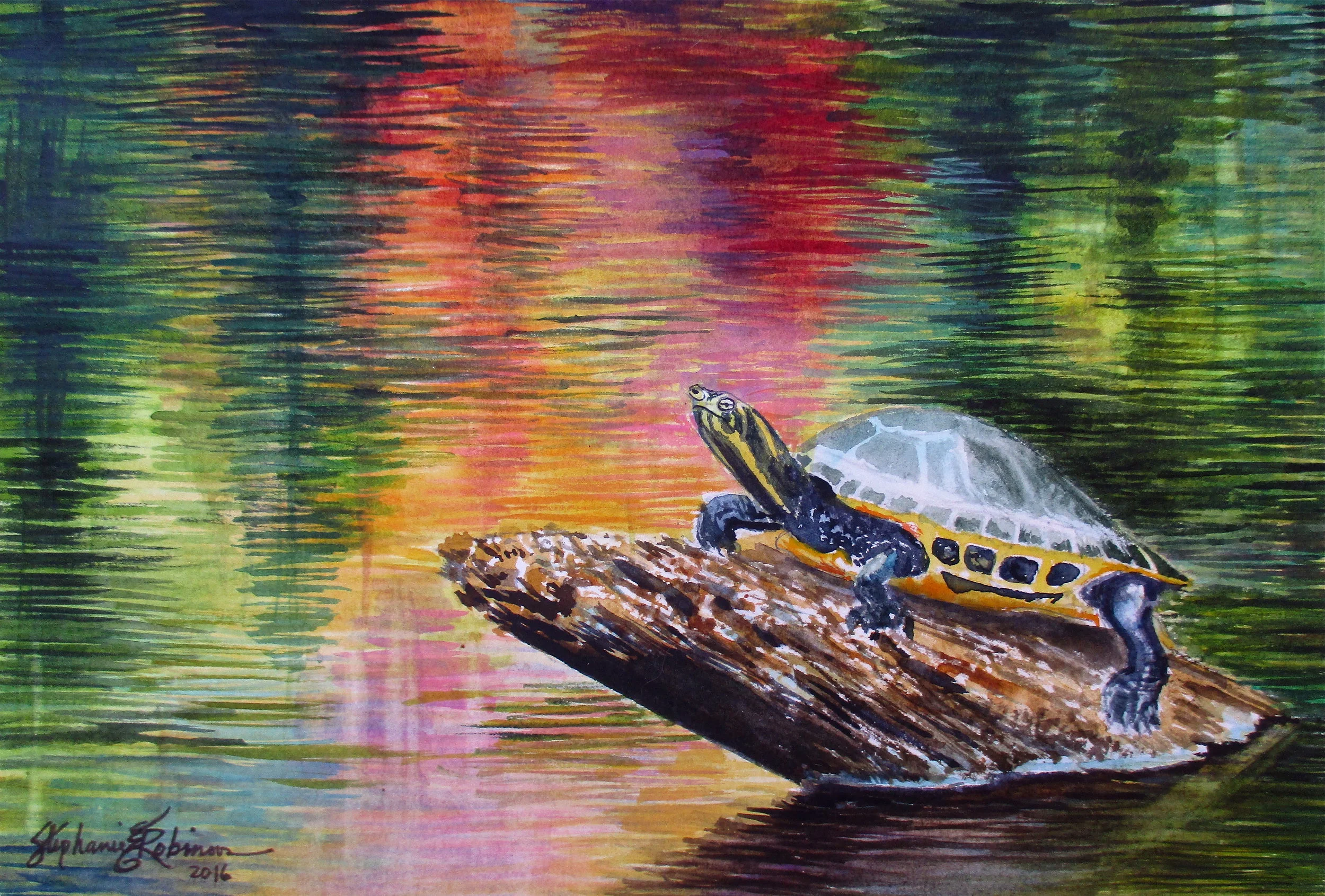 Painted Turtle