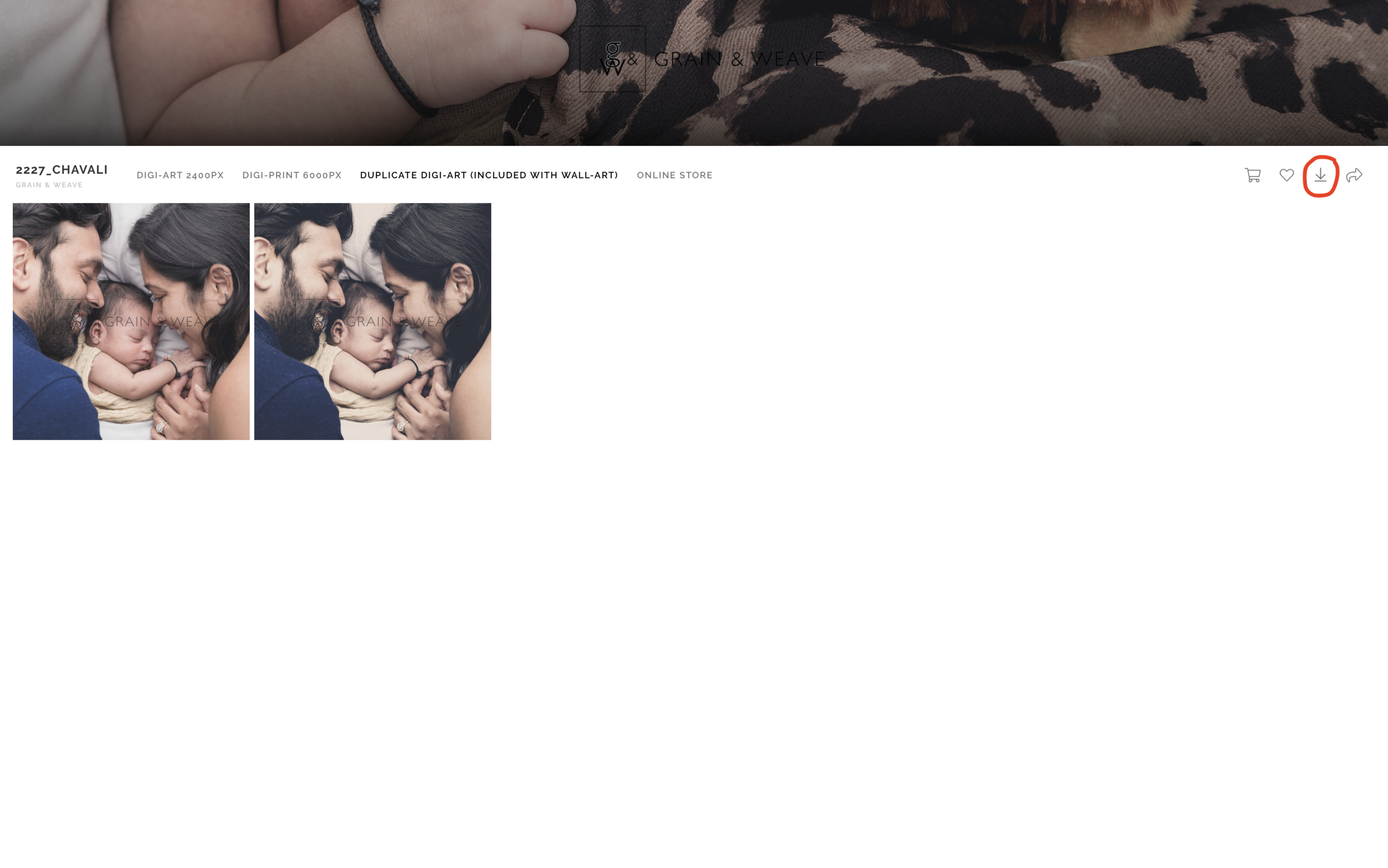 Screen Shot 2019-05-20 at 12.16.13 pm.png