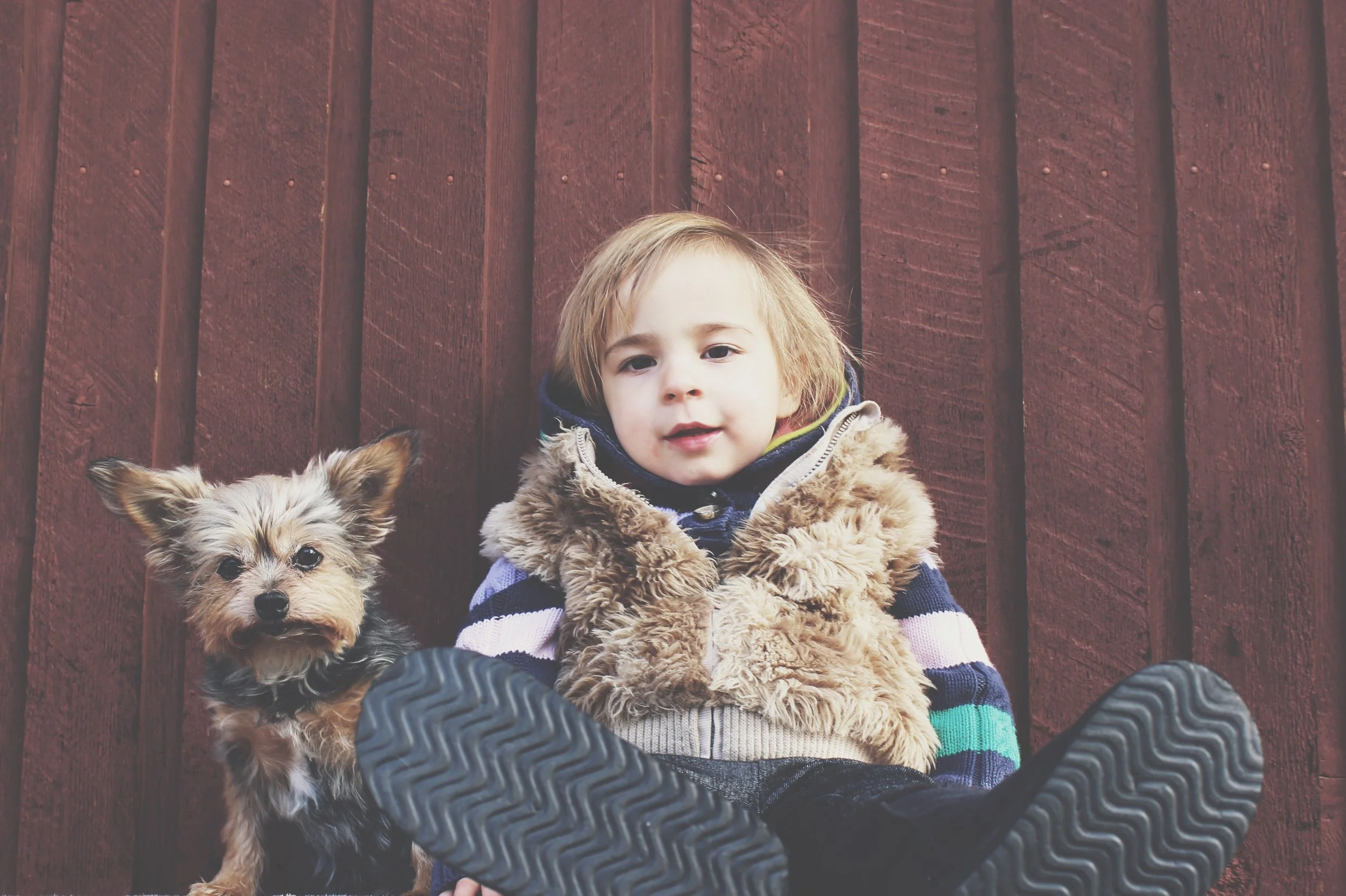 A strong bond between a child and pet can lead to a very fulfilling childhood.   Source: Unsplash.