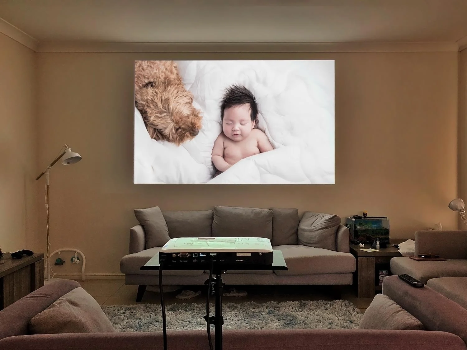 home-viewing-projection.jpg