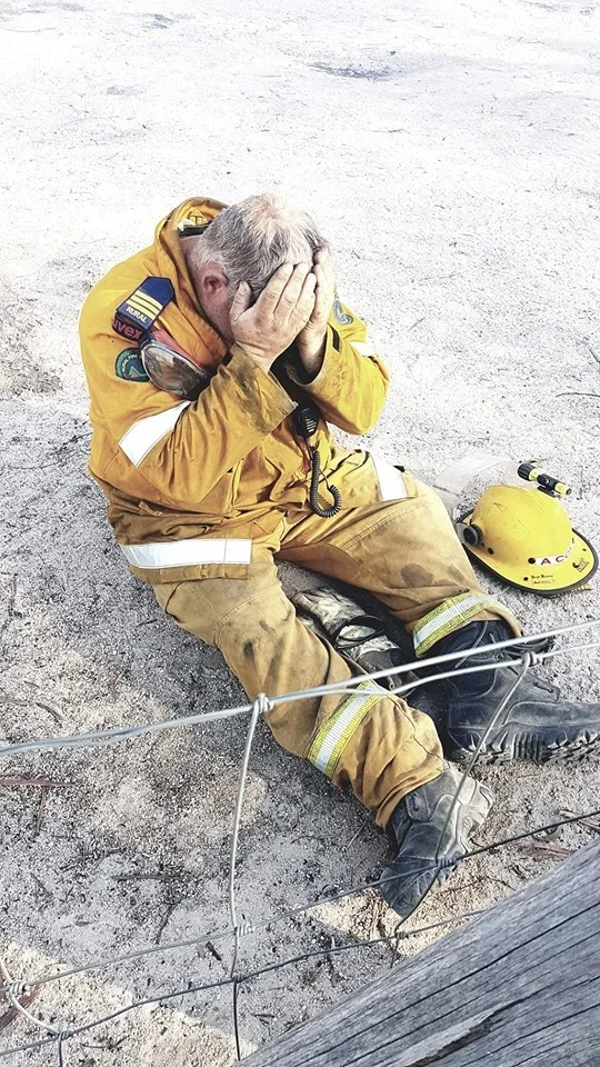 Rural firefighter Aaron Cox had just saved his own home at Ballandean, Queensland.  Source: Bindi Cox via    ABC Landline   .