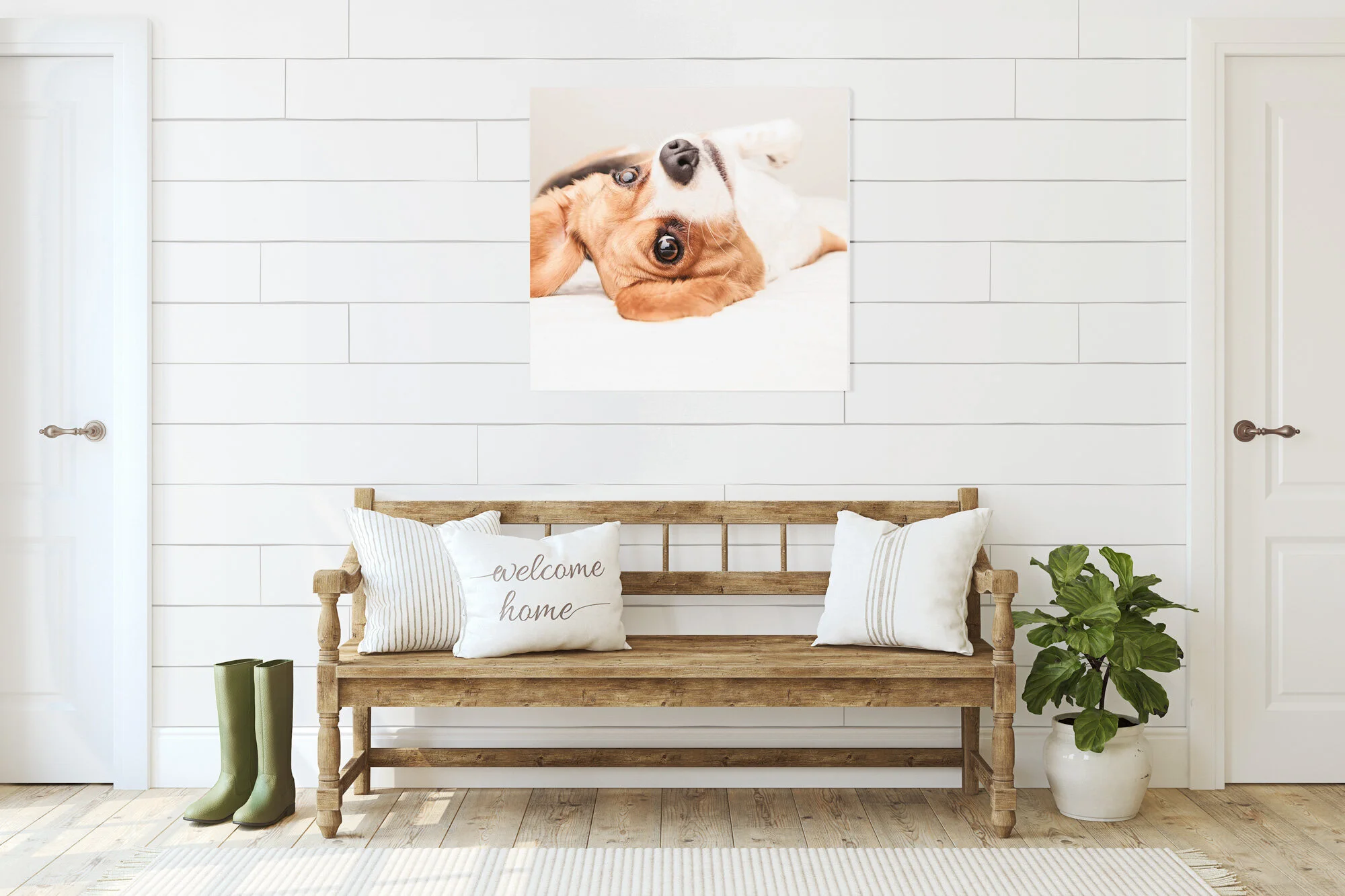 Entryway_Pet-photography-canvas.jpg